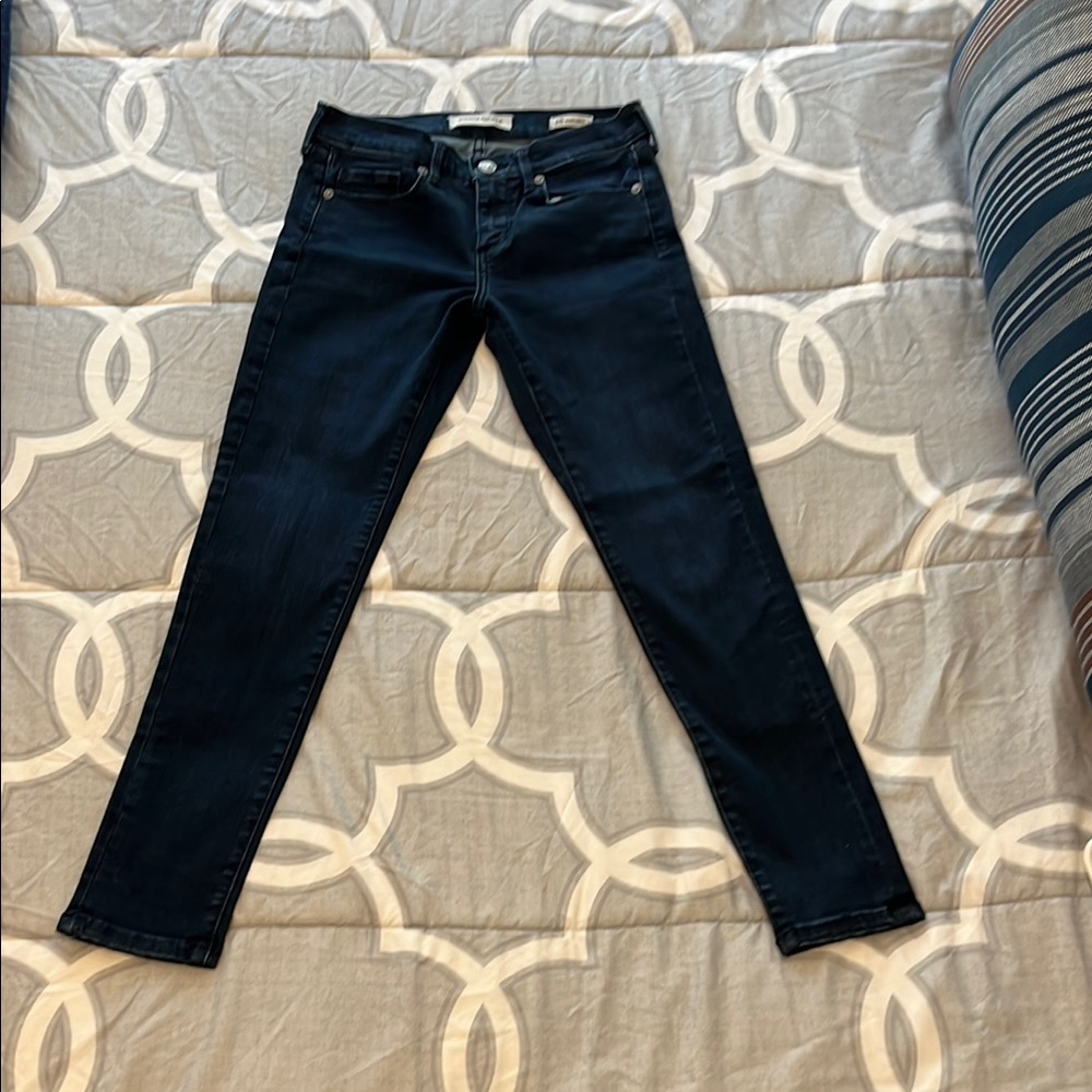 Banana Republic Blue Skinny Jeans
